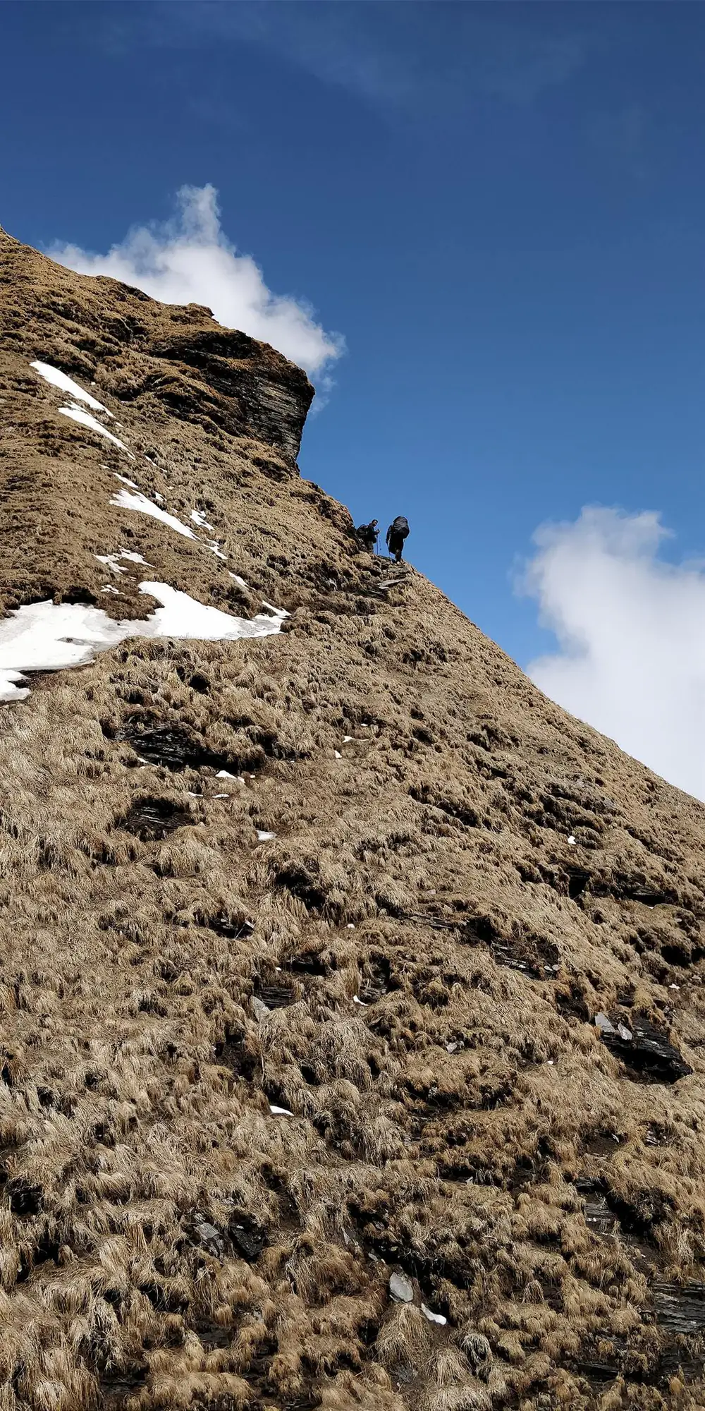 A trekker climbing a steep golden hillside trail into the mist